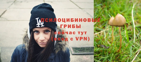 винт Алексеевка