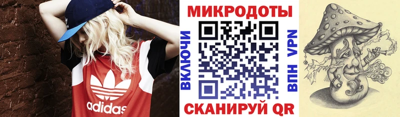 Галлюциногенные грибы Psilocybe Туймазы