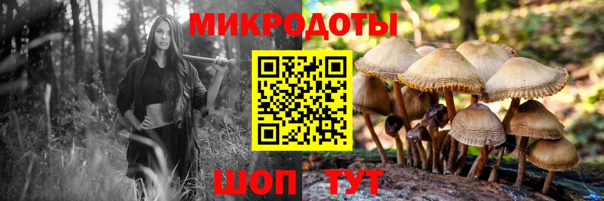 Псилоцибиновые грибы прущие грибы Туймазы